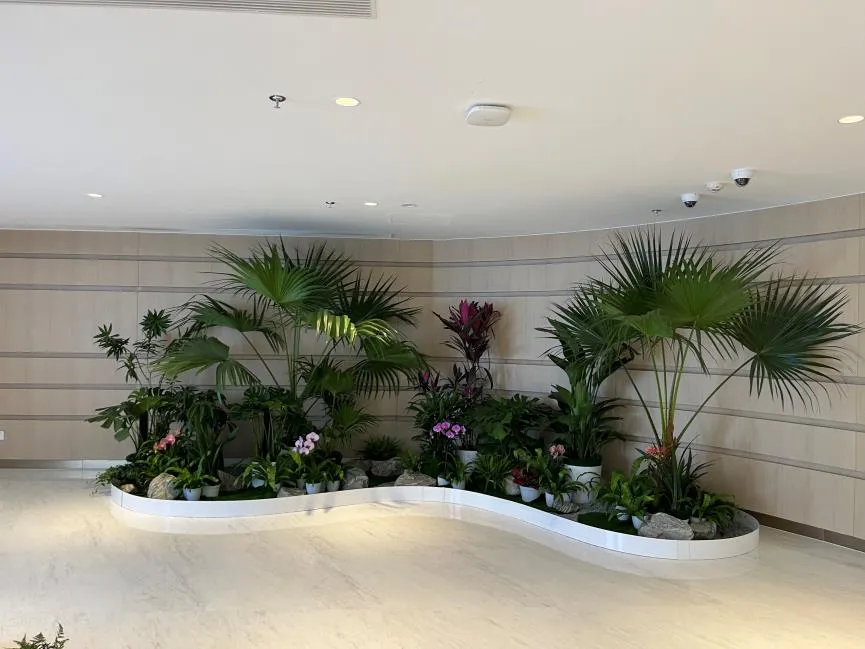 速戳！宁波海曙绿植租赁价格超实惠哟